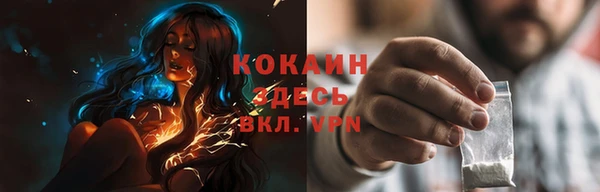 ГАЛЛЮЦИНОГЕННЫЕ ГРИБЫ Бородино