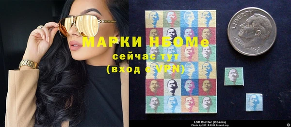 ГАЛЛЮЦИНОГЕННЫЕ ГРИБЫ Бородино
